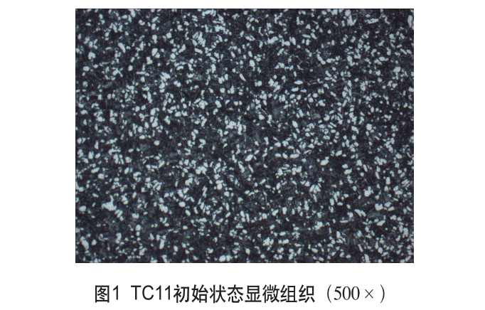 1648218909550084.jpg t1.jpg