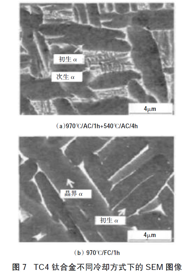 1660661286104565.jpg t7.jpg