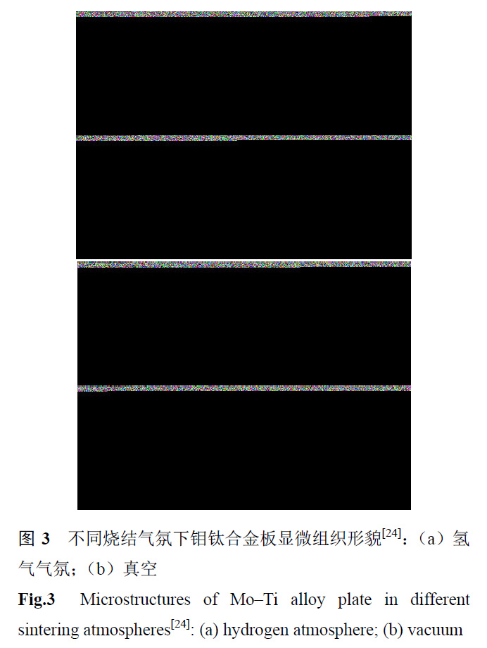 1664020655316771.jpg t3.jpg