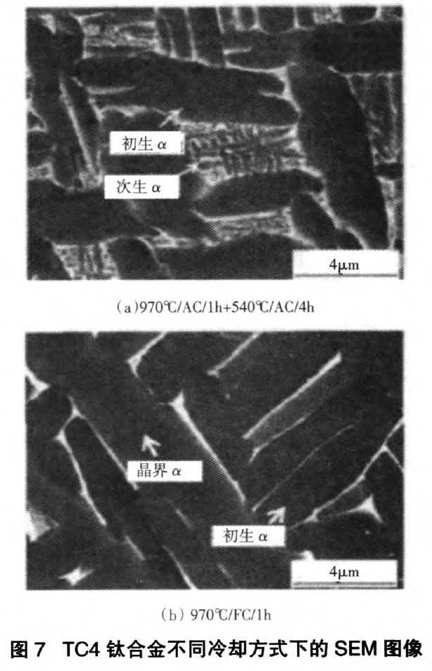 1668849427972879.jpg s7.jpg