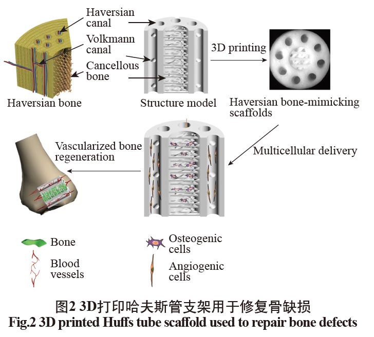 1675220278108210.jpg t2.jpg